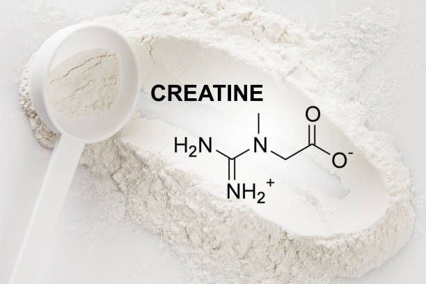 Can You Take Creatine Without Working Out: Things You Need To Know